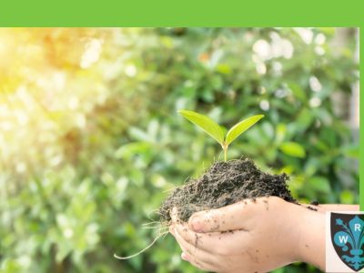 Curso de Interpretación ISO 9001 -Aplicado a Plantas de Alimentos