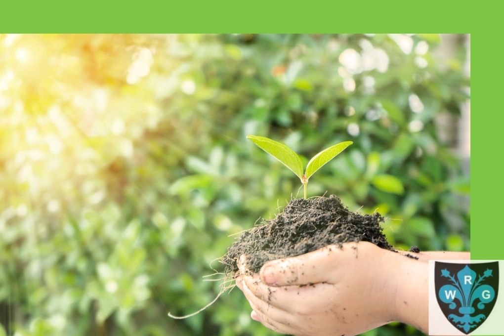 Sector Alimentario